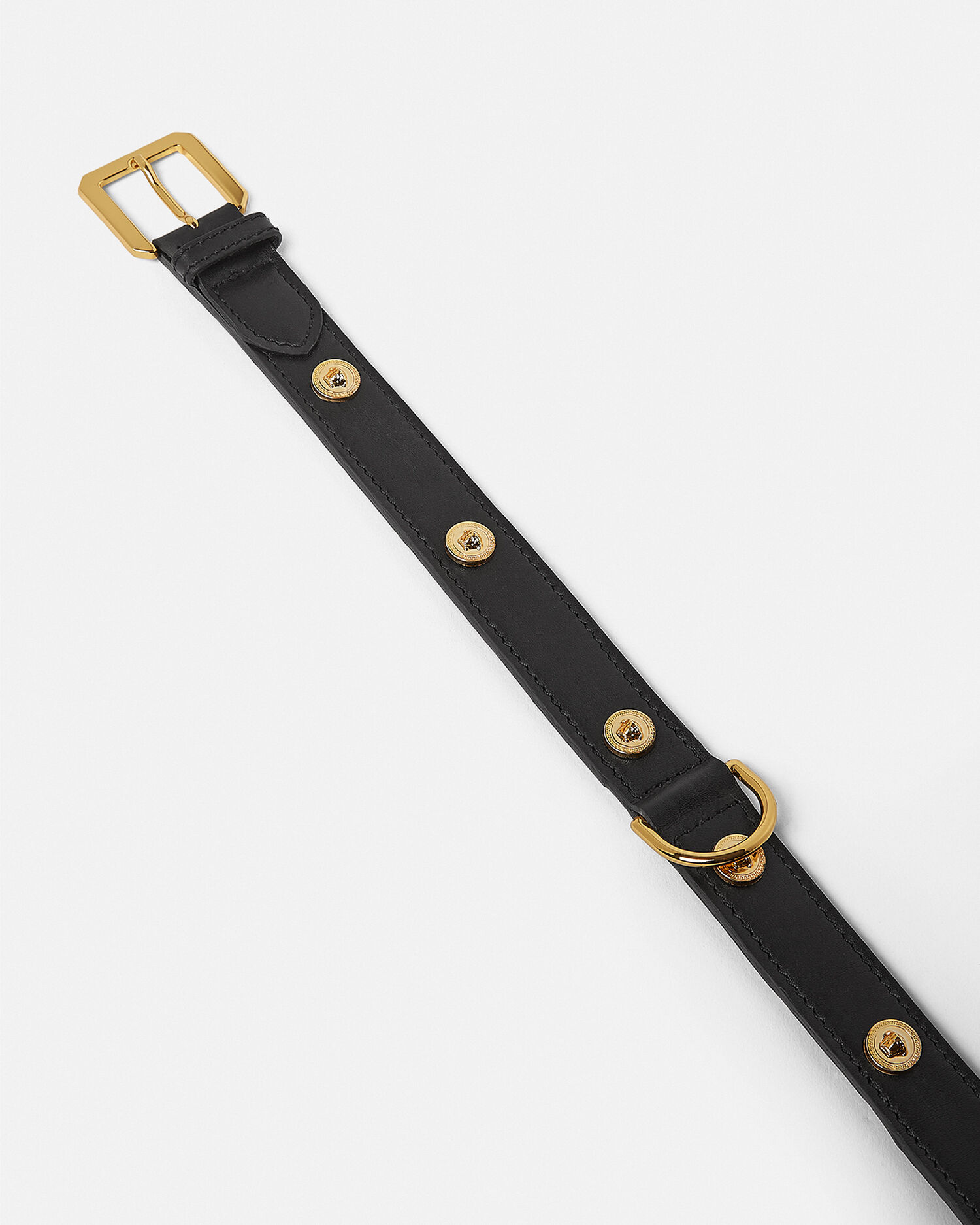 Icon Large Pet Collar