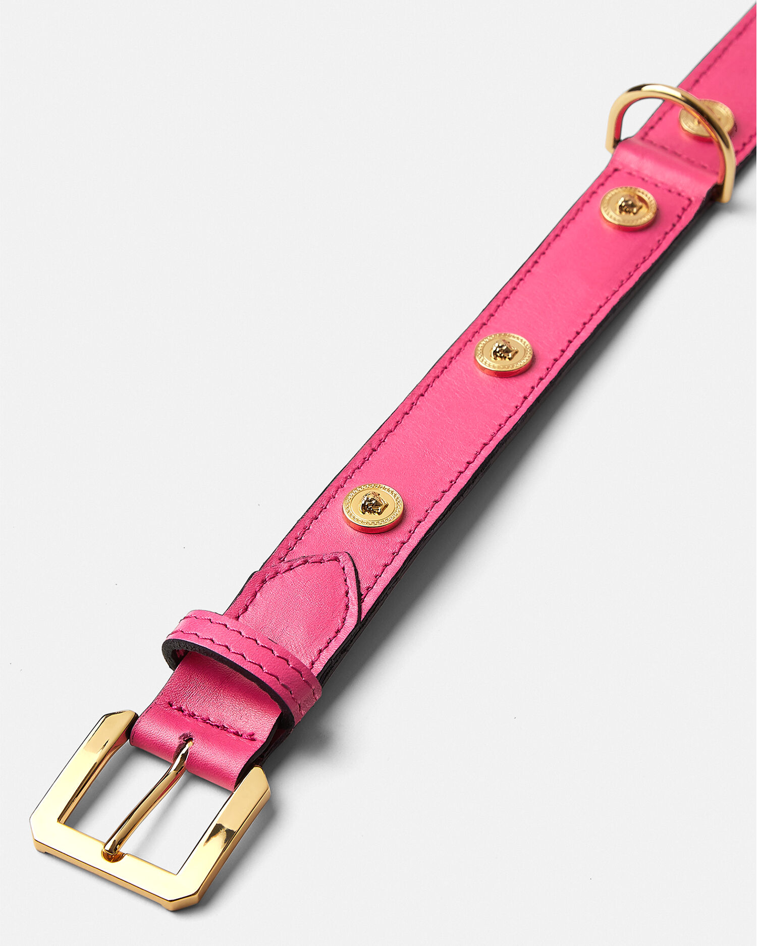 Icon Large Pet Collar