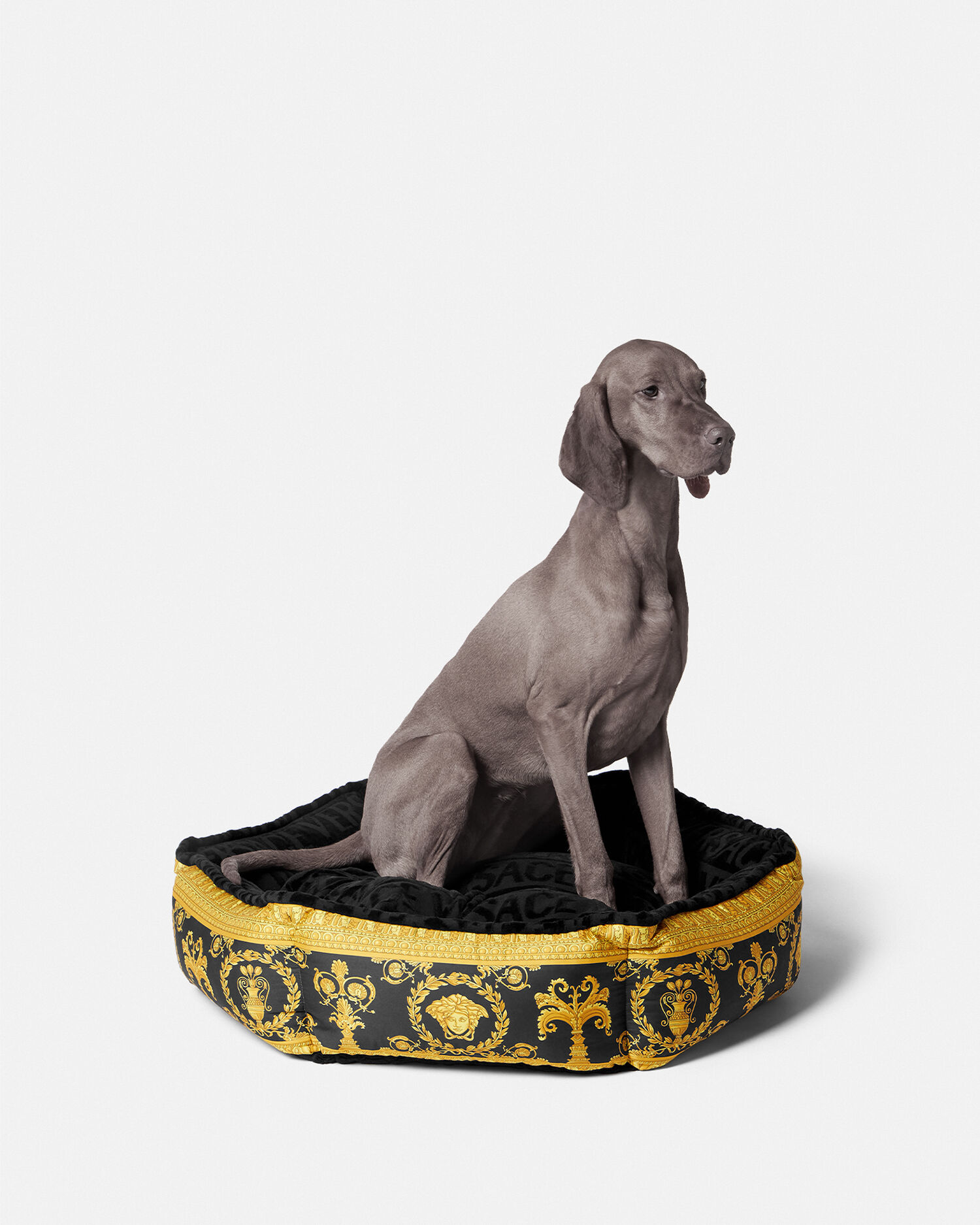 I ♡ Baroque Pet Bed