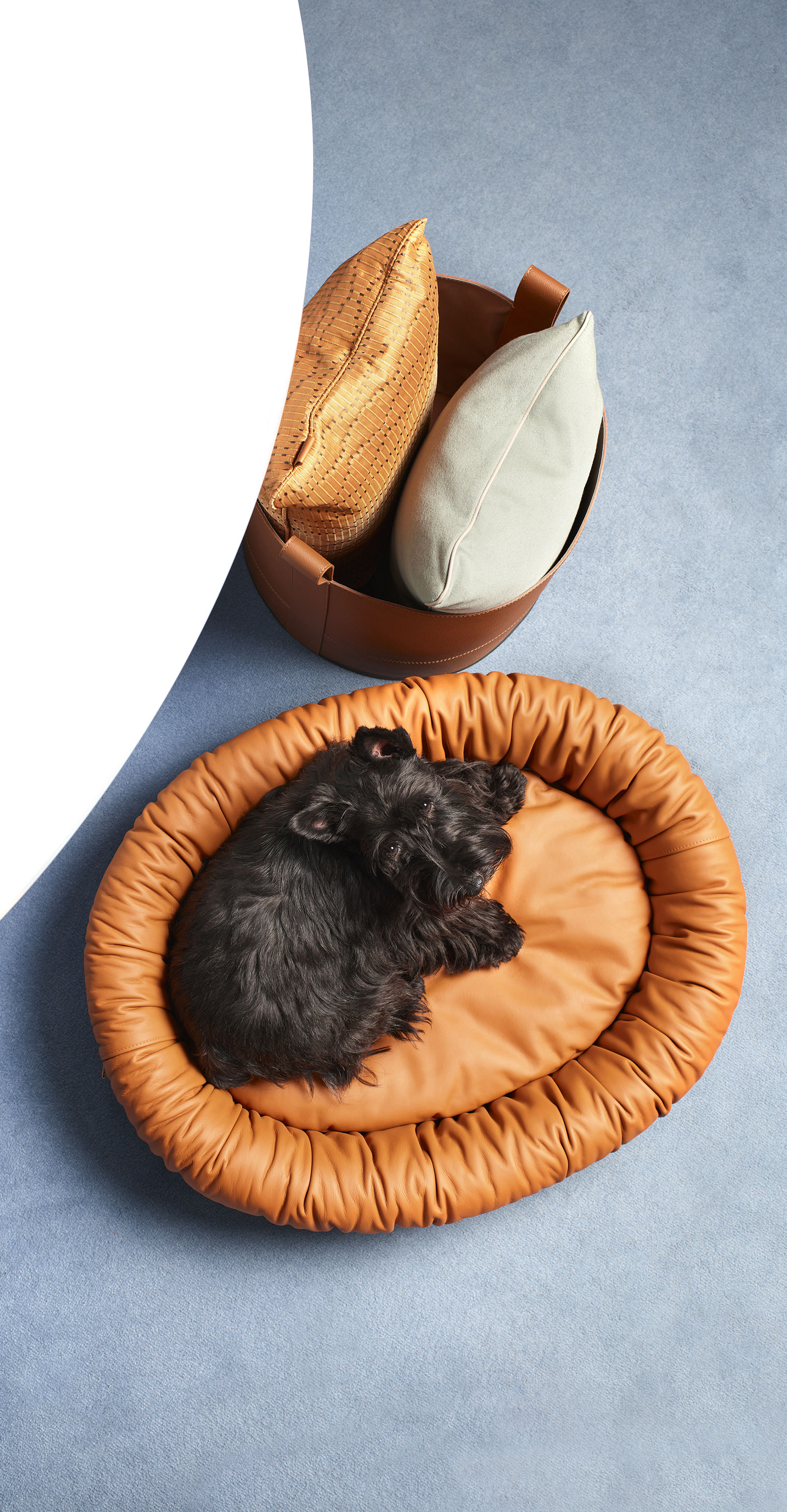 Dog bed | Pet collection