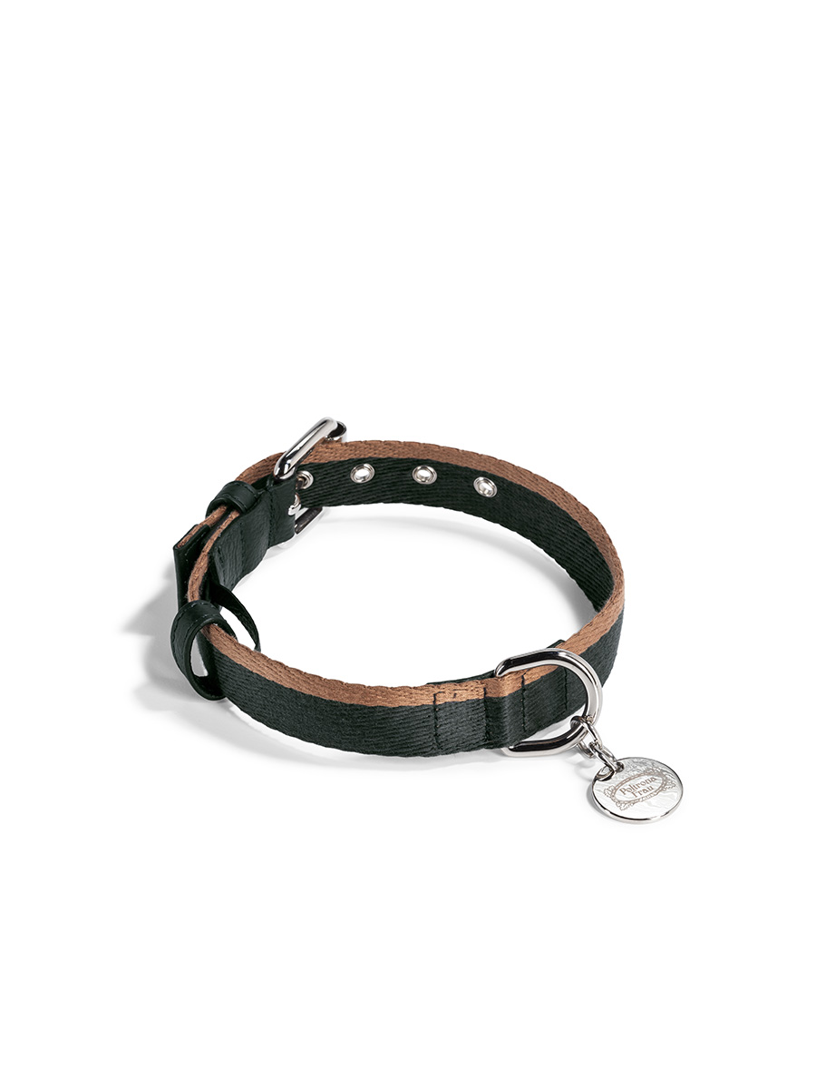 Pet collection | Collar