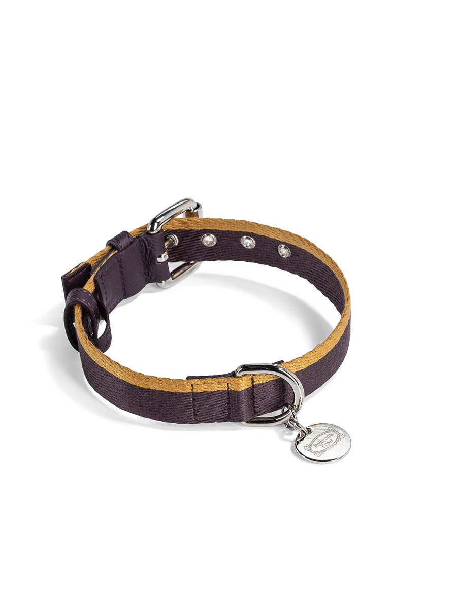 Pet collection | Collar