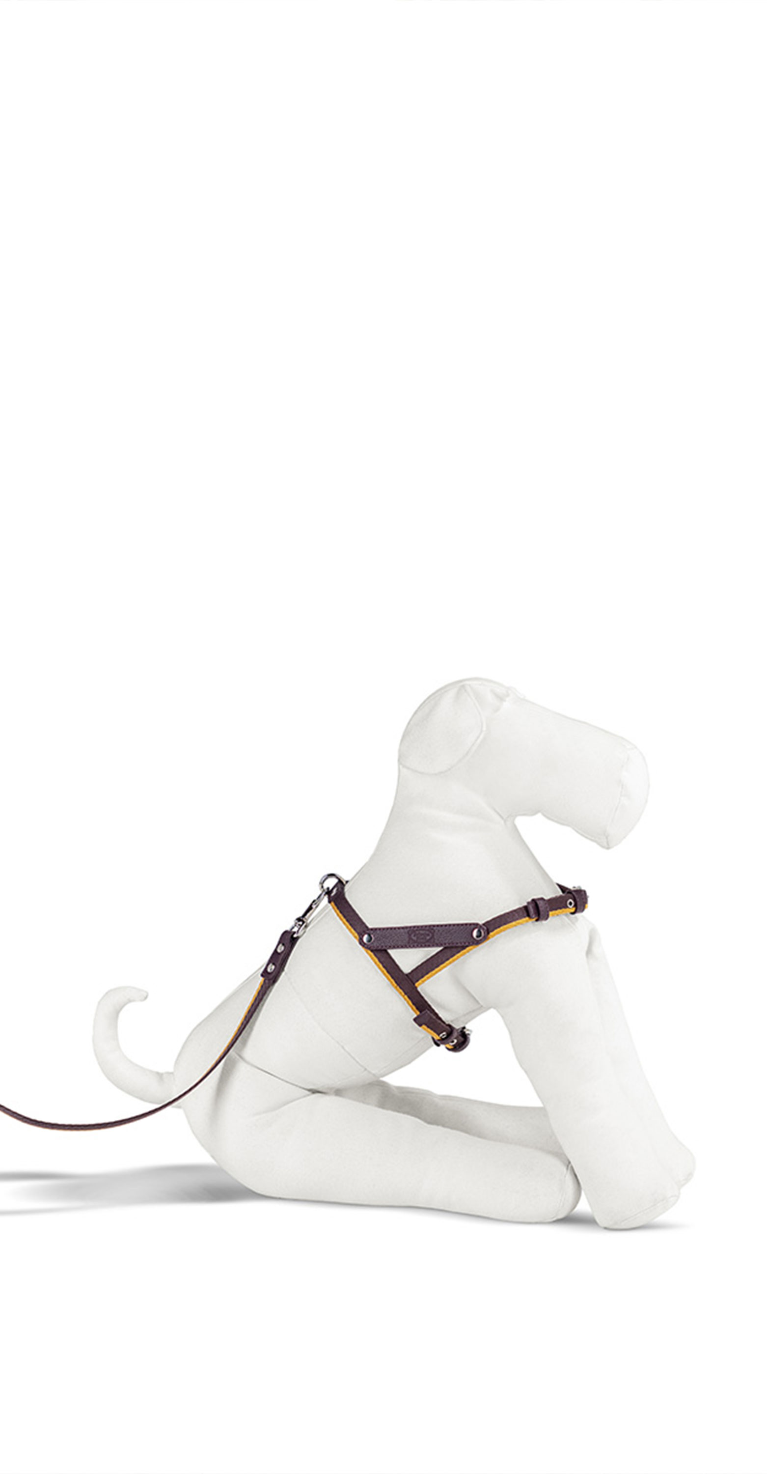 Pet collection | Harness