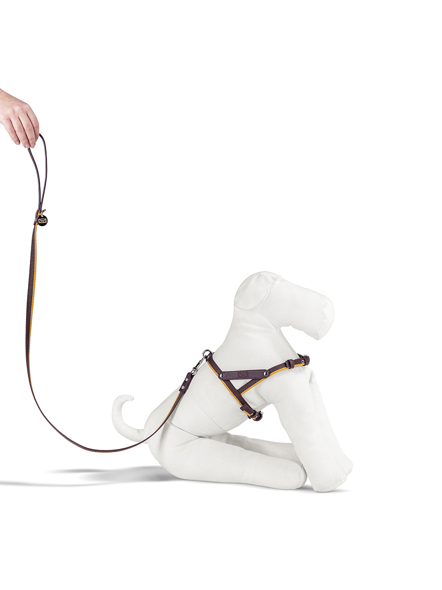 Pet collection | Harness