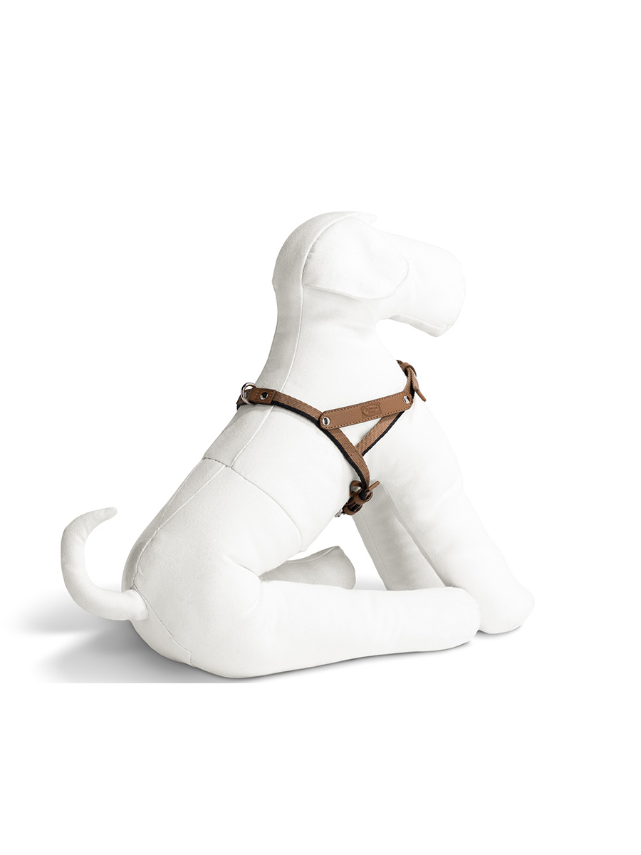 Pet collection | Harness