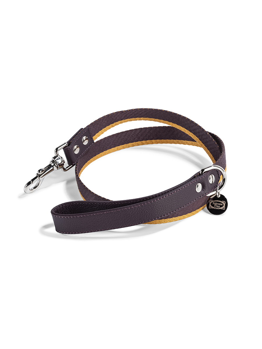 Pet collection | Leash