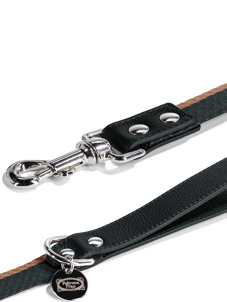 Pet collection | Leash