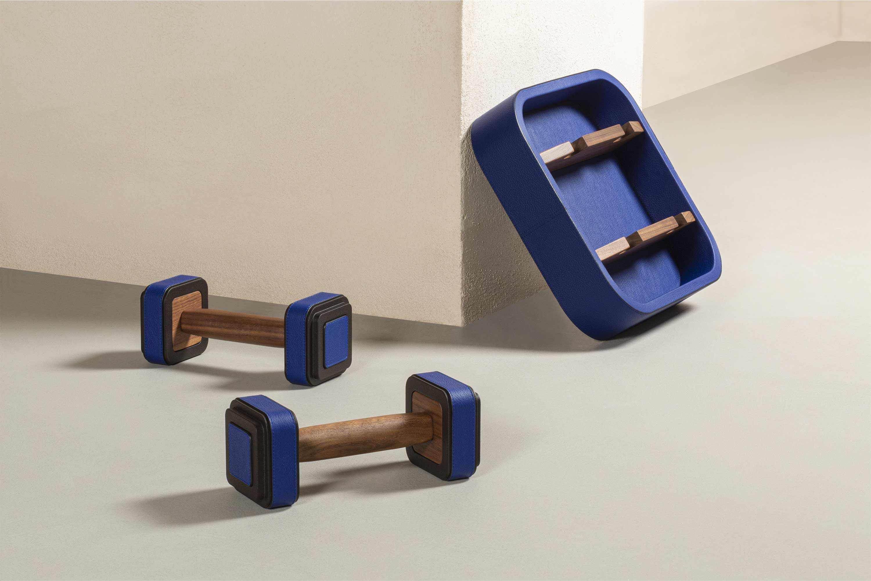 Set of 2 dumbbells | Fitness collection