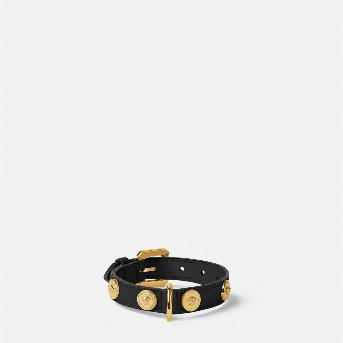 Icon Small Pet Collar - Lifestyle