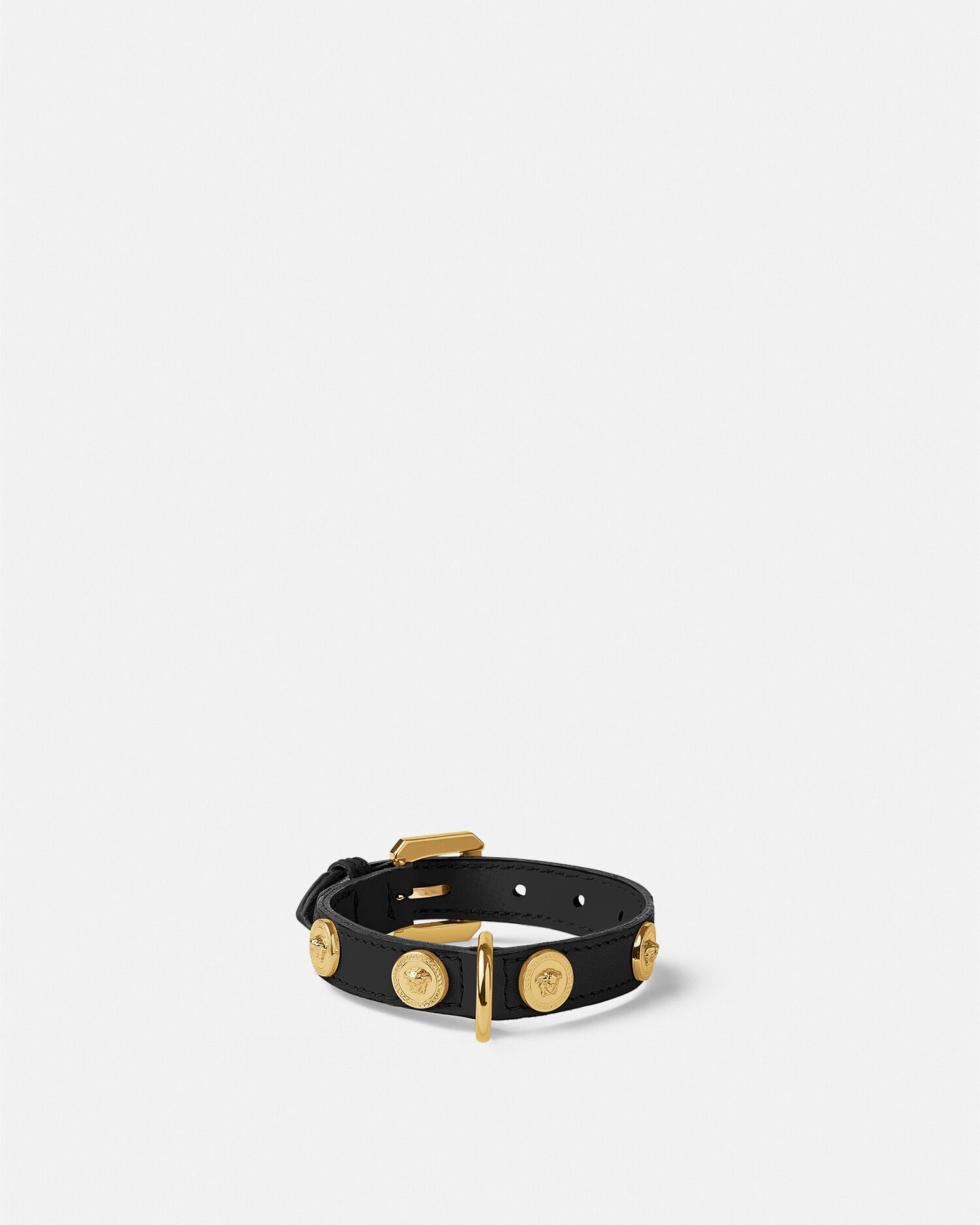 Icon Small Pet Collar - Lifestyle