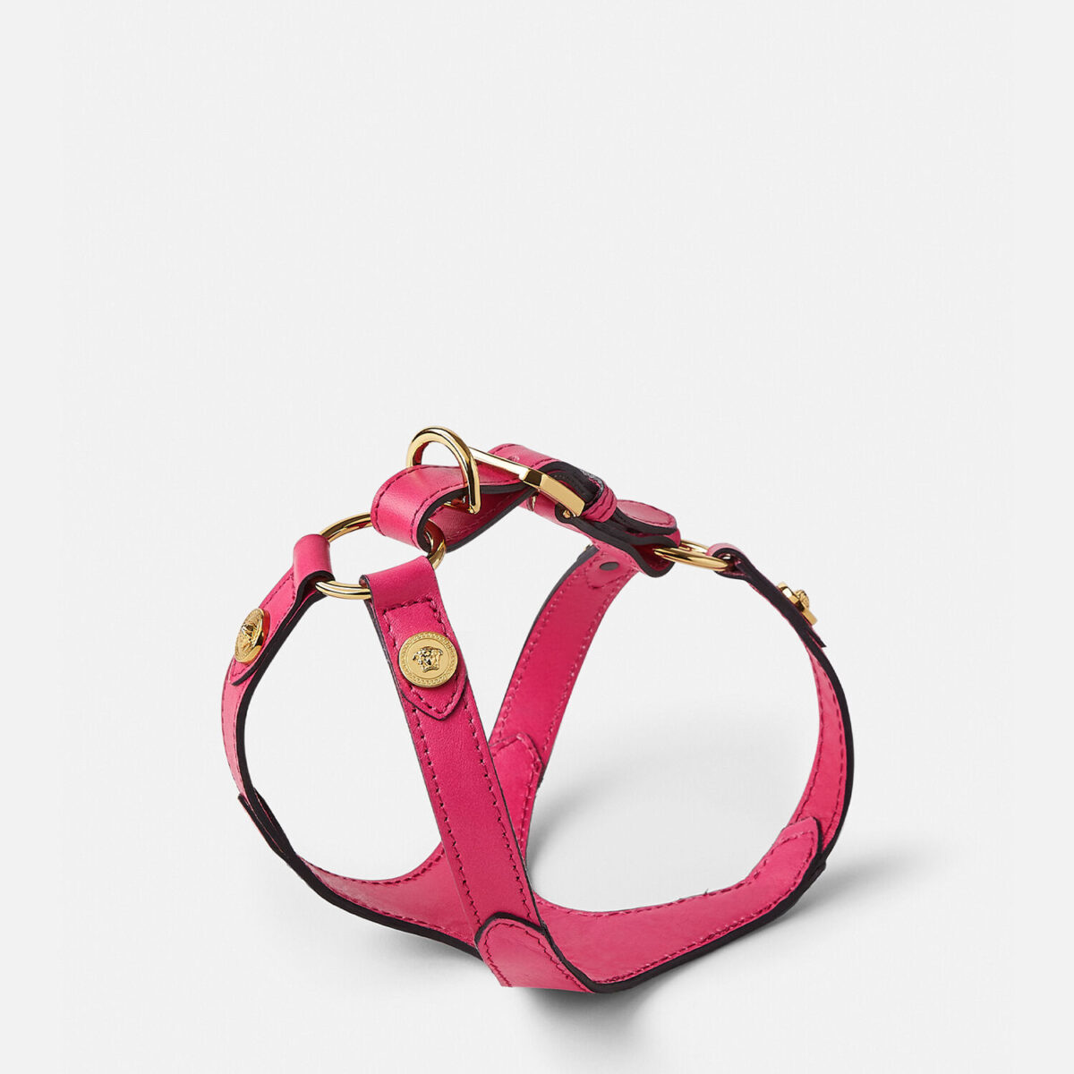 Icon Pet Harness - Lifestyle