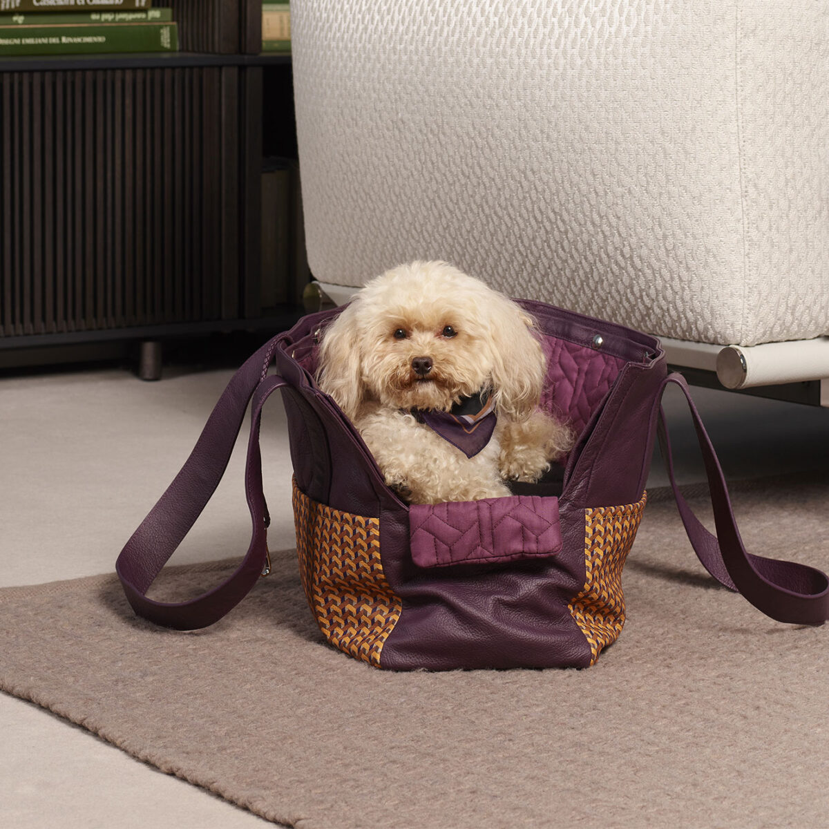 Dog bag | Pet collection - Accessories