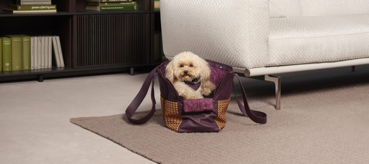 Dog bag | Pet collection - Accessories