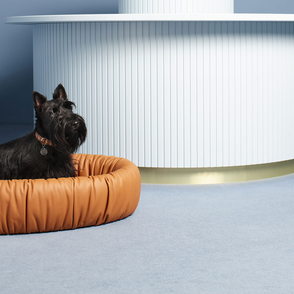 Dog bed | Pet collection - Accessories