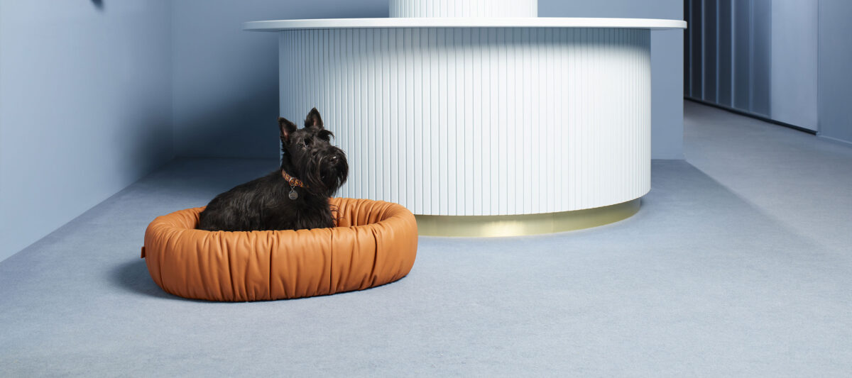 Dog bed | Pet collection - Accessories