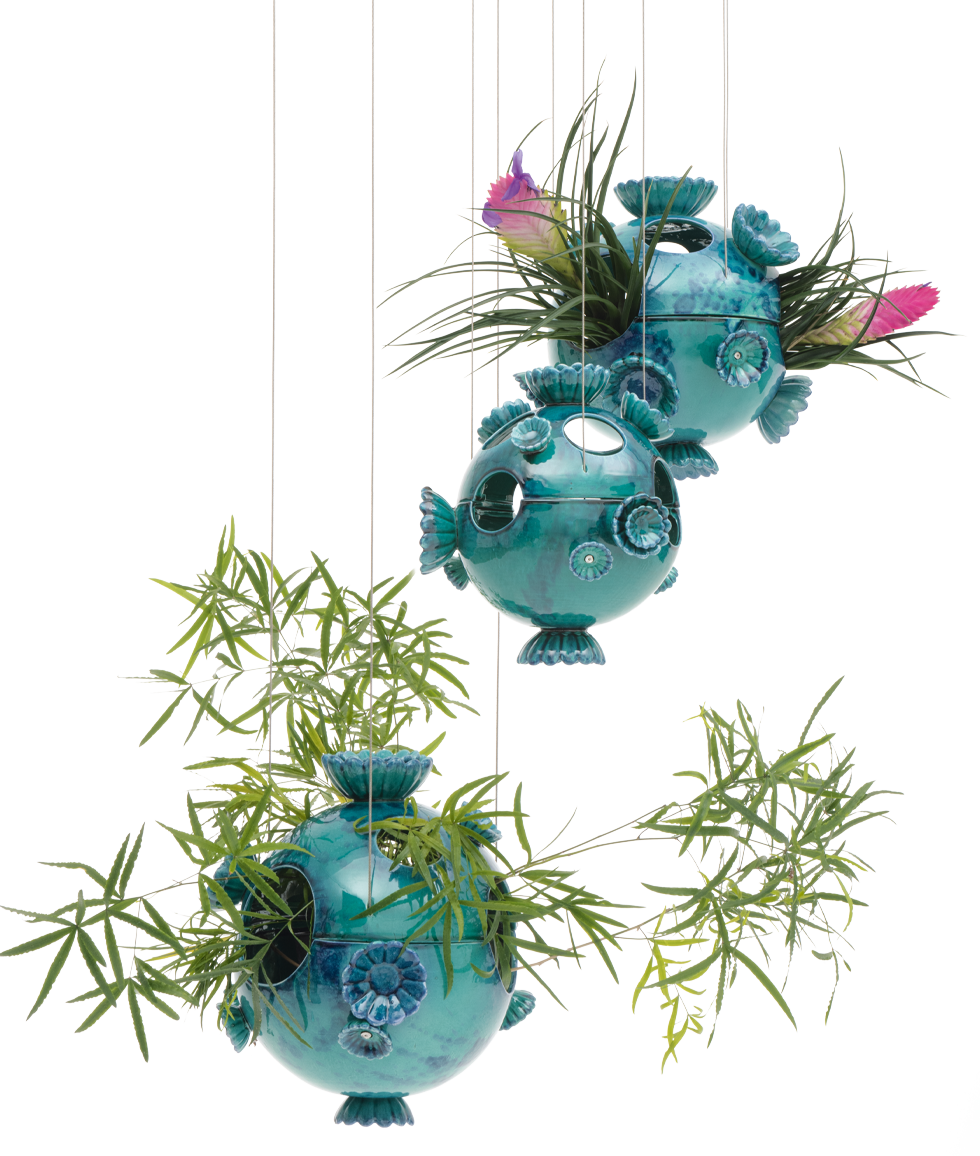 Marimo - Accessories